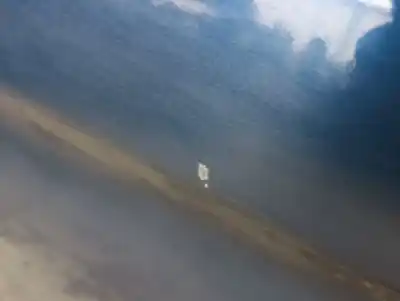 Second-hand car spare part left front door for bmw 3 compact (e46) 320 td oem iam references 41517016239  