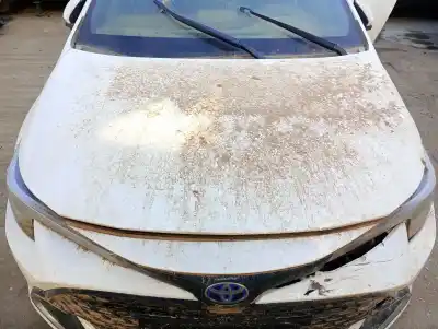Pièce détachée automobile d'occasion CAPOT pour TOYOTA COROLLA RANCHERA FAMILIAR (_E21_)  Références OEM IAM 5330102380  