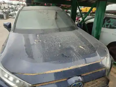 Peça sobressalente para automóvel em segunda mão CAPOT por TOYOTA RAV 4 V (_A5_, _H5_) 2.5 HYBRID AWD (AXAH54) Referências OEM IAM 5330142150  