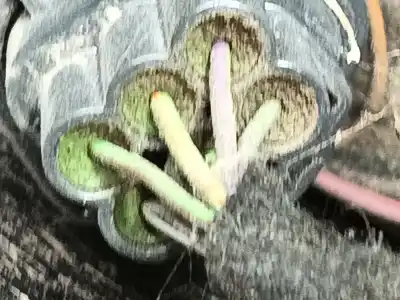 Second-hand car spare part right tailgate light for ford focus iii 1.6 ti oem iam references 1825318  bm5113404ag