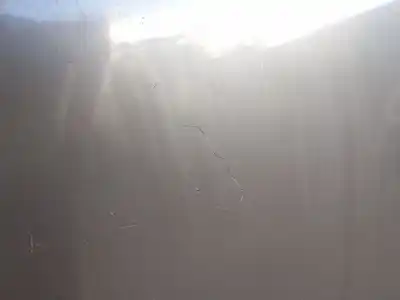 Peça sobressalente para automóvel em segunda mão capot frontal por audi a4 b6 (8e2) 2.5 tdi quattro referências oem iam 8e0823029  