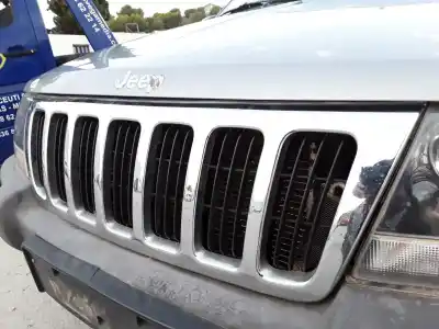 Автозапчасти б/у передняя решетка за jeep grand cherokee (wj/wg) d vm73b ссылки oem iam 