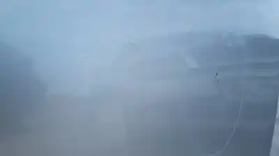 İkinci el araba yedek parçası arka sol kapi için renault clio iv zen oem iam referansları   