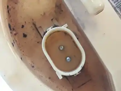 Peça sobressalente para automóvel em segunda mão boia / bomba combustível por bmw serie 3 berlina (e90) 320d referências oem iam 03390503