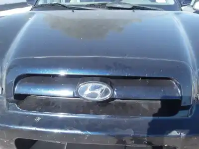 Tweedehands auto-onderdeel voorgrill voor hyundai santa fe (sm) 2.0 gls crdi oem iam-referenties 