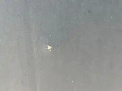 Peça sobressalente para automóvel em segunda mão capot por mazda 6 lim gh .2012 luxury referências oem iam   