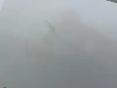 Pezzo di ricambio per auto di seconda mano cofano per citroen jumpy 1.9 turbodiesel (dhx. d8b / xud9te) riferimenti oem iam   