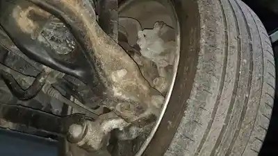 Автозапчасти б/у поворот заднего права за MITSUBISHI MONTERO (V80/V90) 3.2 DI-D CAT ссылки OEM IAM   