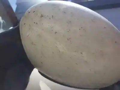 Peça sobressalente para automóvel em segunda mão espelho retrovisor esquerdo por bmw mini (r56) one d referências oem iam   