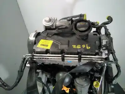 Gebrauchtes Autoersatzteil kompletter motor zum seat ibiza (6l1) 1.9 tdi oem-iam-referenzen axr m1-a1-115 