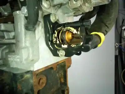 Pièce détachée automobile d'occasion moteur complet pour renault clio ii fase ii (b/cb0) authentique références oem iam k9k704 m1-a2-52 
