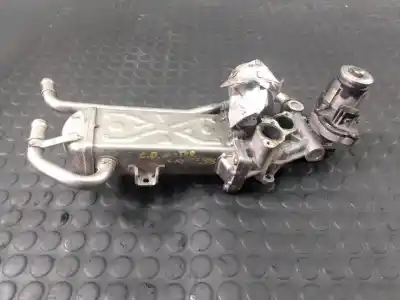 Recambio de automóvil de segunda mano de enfriador egr para volkswagen polo (6r1) motor 1.6 ltr. - 66 kw tdi referencias oem iam 03l731512ce  03l131512c