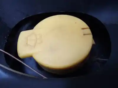 Peça sobressalente para automóvel em segunda mão depósito do limpa vidros por dacia sandero ambiance referências oem iam 