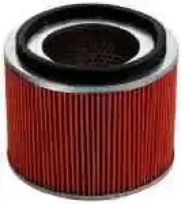 Gebrauchtes Autoersatzteil LUFTFILTER zum NISSAN PATROL GR (Y61)  OEM-IAM-Referenzen A140099 T1-2A-6-2 