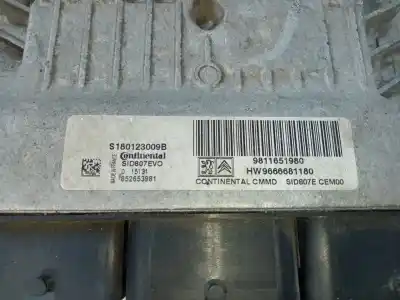 Автозапчасти б/у блок управления двигателем за citroen c4 grand picasso attraction ссылки oem iam 9811651980 e3-b2-25-2 180123009b Автозапчасти б/у блок управления двигателем за citroen c4 grand picasso attraction ссылки oem iam 9811651980 e3-b2-25-2 180123009b
