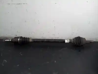 İkinci el araba yedek parçası  için CITROEN NEMO  OEM IAM referansları 51783852 P1-A6-16 00808888B