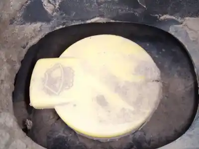 Second-hand car spare part Windscreen Washer Bottle for DACIA SANDERO Stepway OEM IAM references   