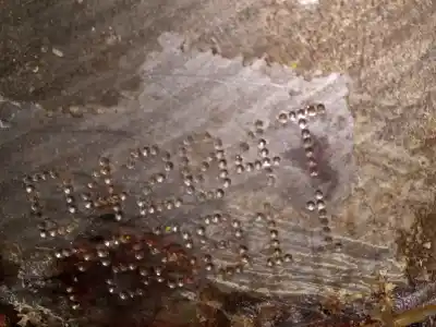 Second-hand car spare part complete engine for ford kuga (cbv) titanium s 4x4 oem iam references ufda m1-b4-124 