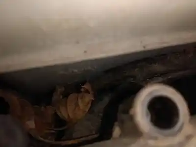 Pezzo di ricambio per auto di seconda mano  per AUDI Q7 (4L)  Riferimenti OEM IAM   