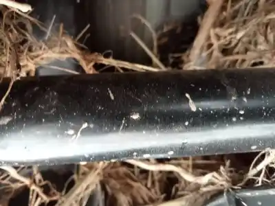 Peça sobressalente para automóvel em segunda mão transmissão traseira esquerda por audi q5 (fyb, fyg) 2.0 tdi quattro referências oem iam 