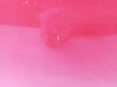 Peça sobressalente para automóvel em segunda mão capot por kia ceed (cd) 1.4 t-gdi referências oem iam  c2-14 