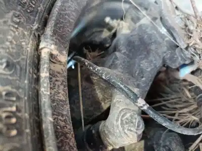 Second-hand car spare part rear left brake caliper for volkswagen crafter furgón (sy_, sx_) 2.0 tdi oem iam references 