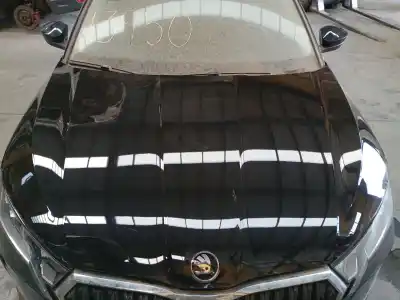 Автозапчасти б/у капот за SKODA OCTAVIA LIM. (NX3) VRS ссылки OEM IAM   