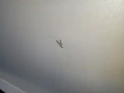 İkinci el araba yedek parçası sol ön kapi için peugeot 208 ii (ub_, up_, uw_, uj_) 1.5 bluehdi 100 oem iam referansları   