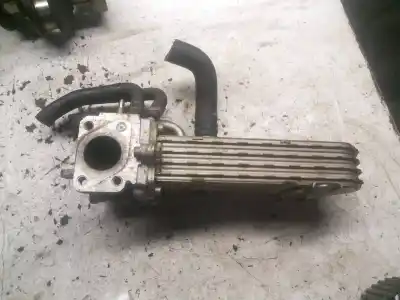 Pezzo di ricambio per auto di seconda mano VALVOLA EGR per VOLKSWAGEN GOLF IV BERLINA (1J1)  Riferimenti OEM IAM 03G131513J  