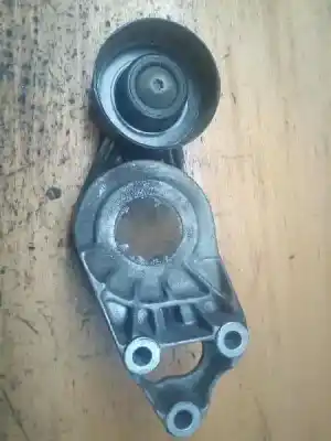Peça sobressalente para automóvel em segunda mão Esticador De Correia por SEAT IBIZA III (6L1) 1.9 SDI Referências OEM IAM 13718  