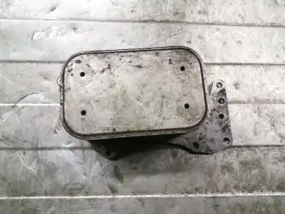 Gebrauchtes Autoersatzteil MOTORÖLKÜHLER zum AUDI Q7 (4L)  OEM-IAM-Referenzen 059117021J  3276813