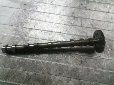 Second-hand car spare part camshaft for bmw serie 3 touring (e91) 2.0 16v diesel oem iam references 11317790595  0388829