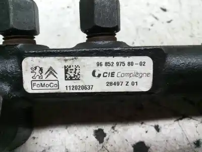 Peça sobressalente para automóvel em segunda mão régua / rampa de injetores por ford fiesta (cb1) motor 1.6 ltr. - 70 kw tdci cat referências oem iam 9685297580 9685297580-02 112020637