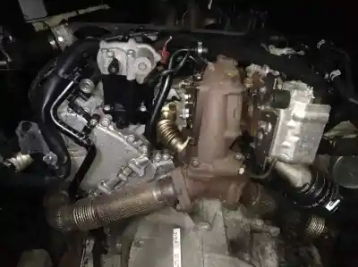 Pezzo di ricambio per auto di seconda mano motore completo per audi a5 coupe (8t) 3.0 v6 24v tdi riferimenti oem iam capa  cap