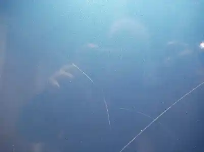 Peça sobressalente para automóvel em segunda mão capot por bmw serie 3 compact (e46) 316ti referências oem iam   