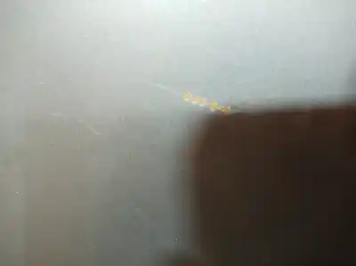 Peça sobressalente para automóvel em segunda mão capot por lexus ls400 (ucf20) básico (ucf 20) referências oem iam   