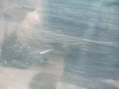 Автозапчасти б/у дверь передняя правая за audi a8 (4e2) 4.2 fsi quattro 350 cv / 257 kw ссылки oem iam 4e0831420 4e0831420 4e0831420