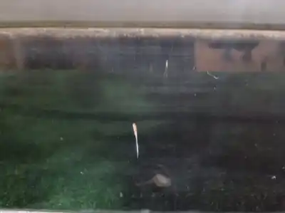 Second-hand car spare part left front door for bmw serie 7 (e38) 730il oem iam references   