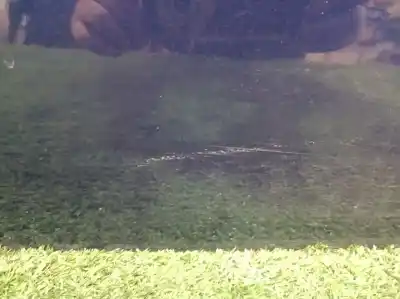 Second-hand car spare part front right door for bmw serie 3 compacto (e36) 316i oem iam references   