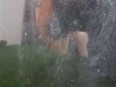 Peça sobressalente para automóvel em segunda mão capot por dodge caliber s referências oem iam   