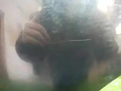 Second-hand car spare part front right fin for bmw serie 7 (e65/e66) 6.0 cat oem iam references   