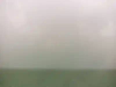 İkinci el araba yedek parçası arka sol kapi için kia cee´d * oem iam referansları   