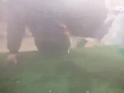 Second-hand car spare part front right door for bmw 1 (e87) 116 i oem iam references   