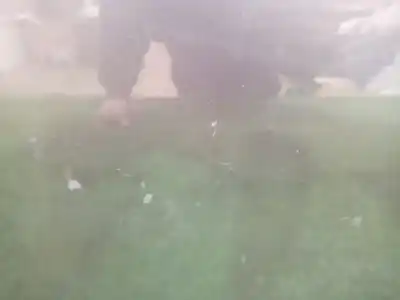 Second-hand car spare part front right door for bmw 1 (e87) 116 i oem iam references   