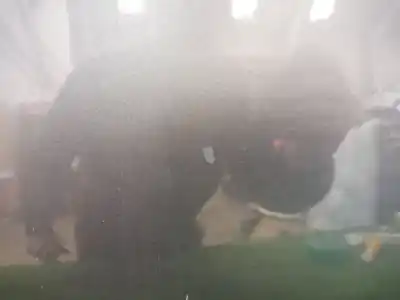 Second-hand car spare part front right door for bmw 1 (e87) 116 i oem iam references   