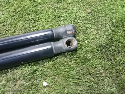 Pezzo di ricambio per auto di seconda mano ammortizzatori baule / porte per ford c-max ii (dxa/cb7, dxa/ceu) 1.0 ecoboost riferimenti oem iam am51r406a10ae am51r406a10ae am51r406a10ae