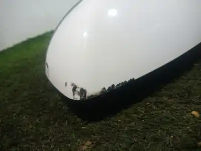 Pezzo di ricambio per auto di seconda mano specchio sinistro per mazda 3 (bm, bn) 2.0 riferimenti oem iam e1146r0 e1146r0 e1146r0