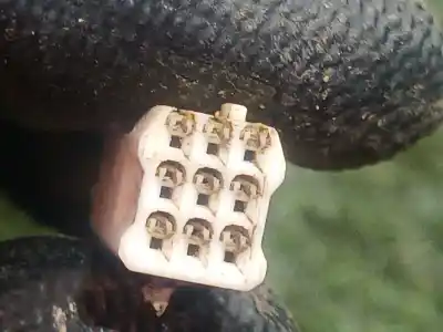 Pezzo di ricambio per auto di seconda mano specchio sinistro per mazda 3 (bm, bn) 2.0 riferimenti oem iam e1146r0 e1146r0 e1146r0