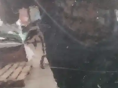 Second-hand car spare part rear left door for bmw 3 (e90) 318 i oem iam references   