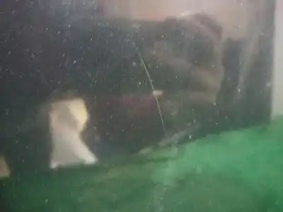 Peça sobressalente para automóvel em segunda mão capot por bmw 3 (e90) 318 i referências oem iam   